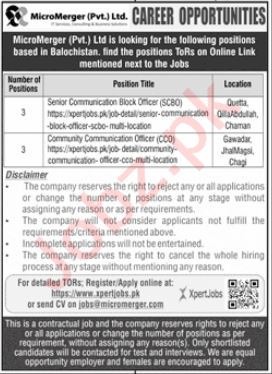 Quetta Jobs at Micro Merger Pvt Limited 2024